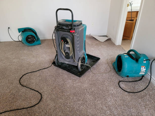 Best Water damage cleanup near me  in Pandora, OH