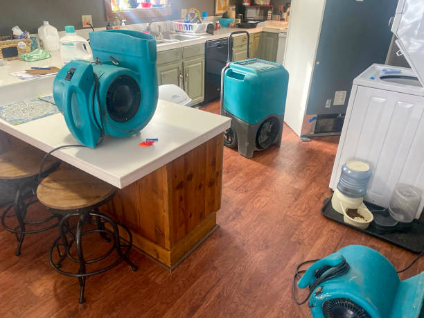 Best 24-hour water damage restoration  in Pandora, OH