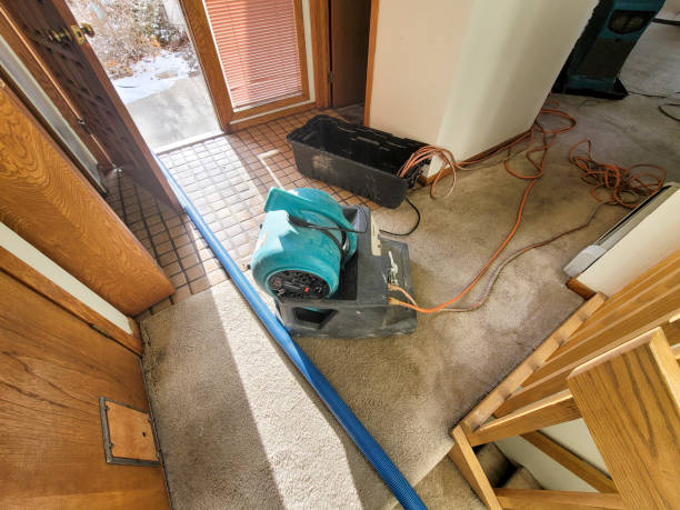 Best Professional water damage repair  in Pandora, OH