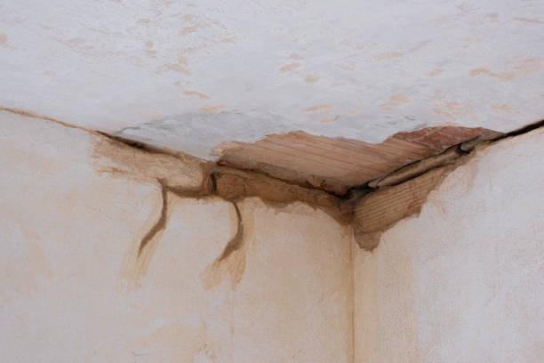 Best Commercial water damage restoration  in Pandora, OH