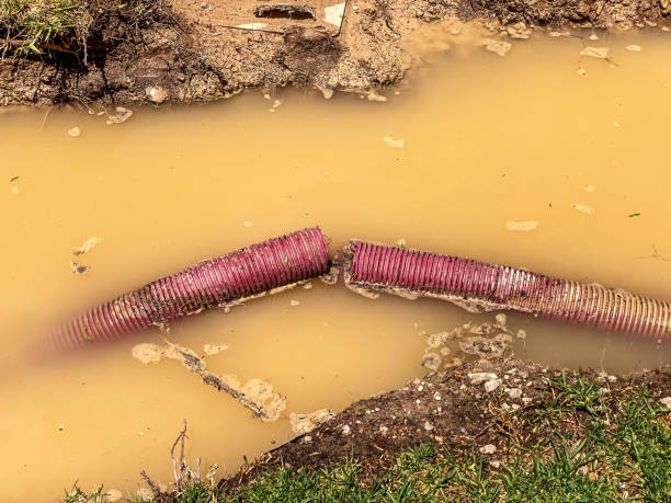 Carpet water damage restoration in OH
